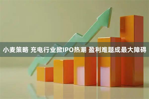 小麦策略 充电行业掀IPO热潮 盈利难题成最大障碍