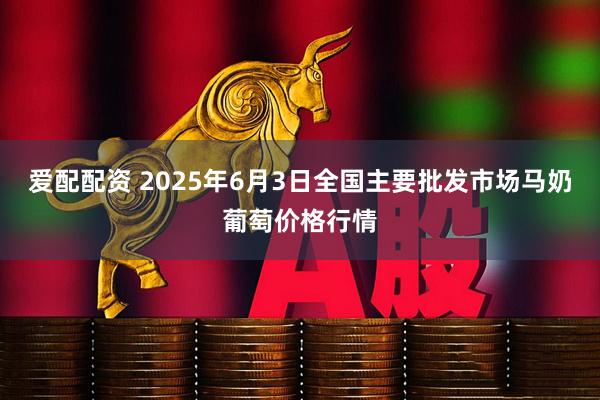 爱配配资 2025年6月3日全国主要批发市场马奶葡萄价格行情