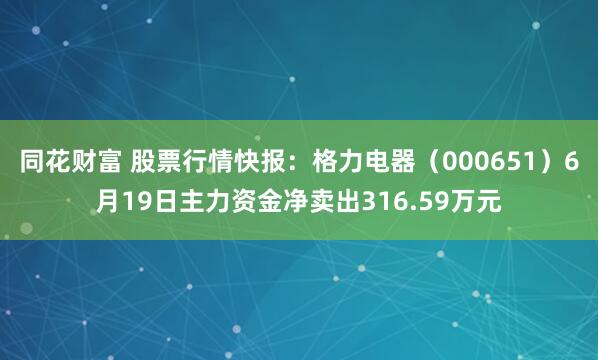 同花财富 股票行情快报：格力电器（000651）6月19日主力资金净卖出316.59万元
