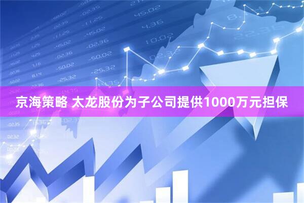 京海策略 太龙股份为子公司提供1000万元担保