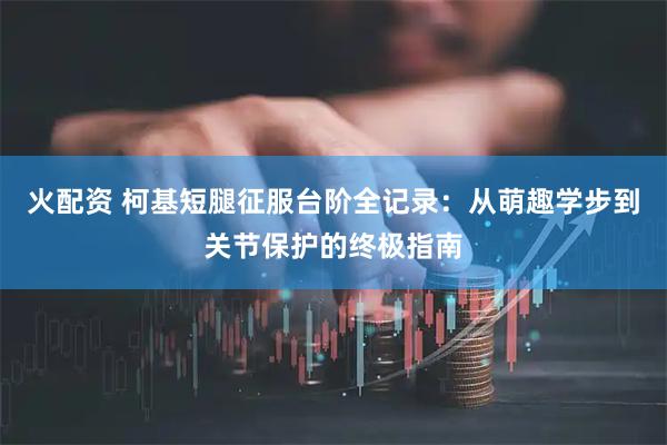 火配资 柯基短腿征服台阶全记录：从萌趣学步到关节保护的终极指南