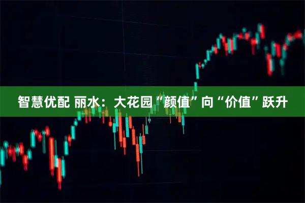 智慧优配 丽水：大花园“颜值”向“价值”跃升