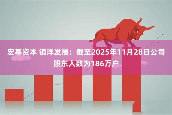 宏基资本 镇洋发展：截至2025年11月28日公司股东人数为186万户